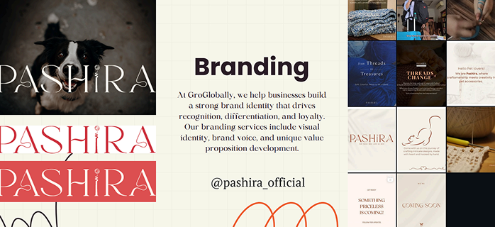 Pashira Brand Identity